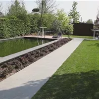 Gartengestaltung - Poolgarten (thumbnail).jpg