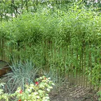 GS614169.jpg